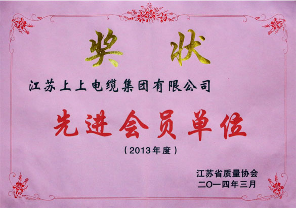 尊龙凯时集团荣获江苏省质量协会2013年度“先进会员单位”称呼